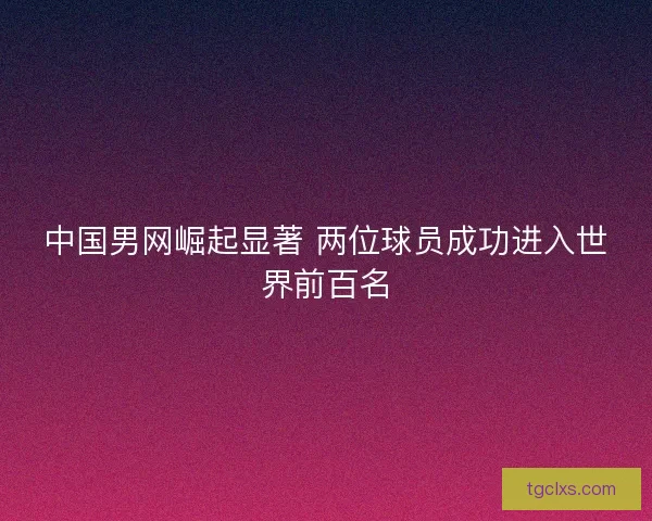 中国男网崛起显著 两位球员成功进入世界前百名