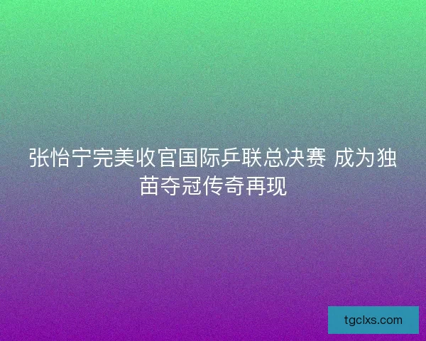 张怡宁完美收官国际乒联总决赛 成为独苗夺冠传奇再现
