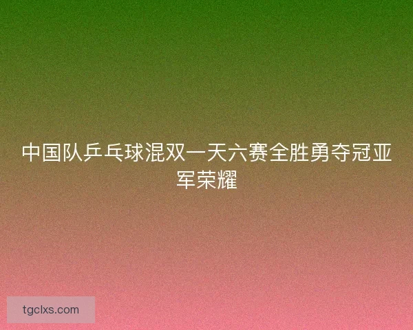 中国队乒乓球混双一天六赛全胜勇夺冠亚军荣耀