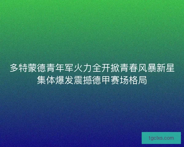 多特蒙德青年军火力全开掀青春风暴新星集体爆发震撼德甲赛场格局